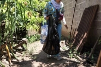 Se fortalece la vigilancia a&uacute;n con el descenso de casos de dengue