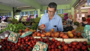 Crear&aacute;n un fondo para evitar saltos estacionales en los precios de las frutas y verduras