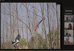 Capacitaci&oacute;n en &ldquo;Poda y raleo&rdquo; en Jujuy