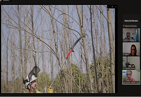 Capacitaci&oacute;n en &ldquo;Poda y raleo&rdquo; en Jujuy