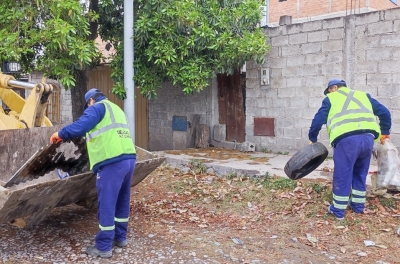 La campa&ntilde;a de descacharreo avanza sobre sectores de Alto Comedero