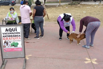 Contin&uacute;a la Campa&ntilde;a de Vacunaci&oacute;n Antirr&aacute;bica en la ciudad