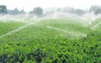 Biocombustibles: acusan al gobierno de favorecer a las empresas petroleras