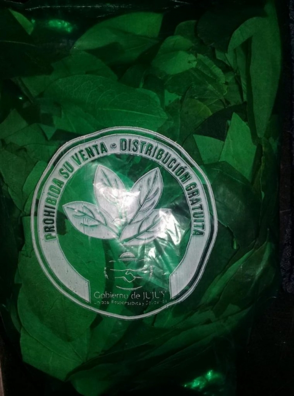 Gran demanda de coqueros. Inscripci&oacute;n supera los 3 mil