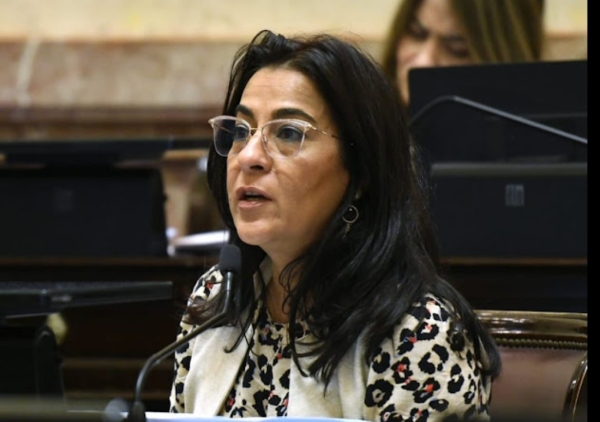 Mois&eacute;s denunci&oacute; en el Senado el abandono al transporte en Jujuy