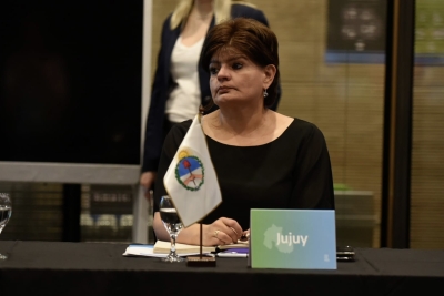 Jujuy particip&oacute; del Consejo Federal de Ambiente