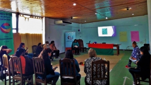 Parto Humanizado en perspectiva ind&iacute;gena