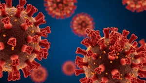 Argentina confirmó los primeros casos de la variante BA.3.2 del virus del COVID: qué dijeron las autoridades sobre su riesgo