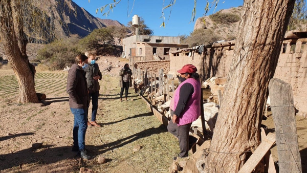 Fondos para productores de quesos de cabra