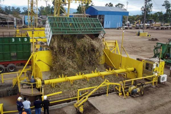 Ledesma comenz&oacute; una nueva zafra