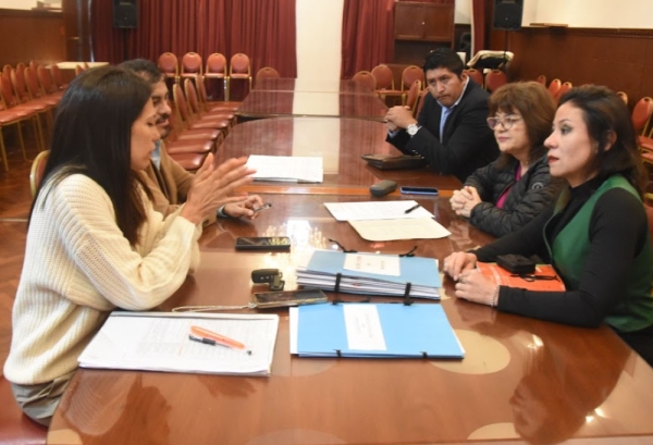 Diputados. Declaraciones en apoyo a la producci&oacute;n cultural juje&ntilde;a