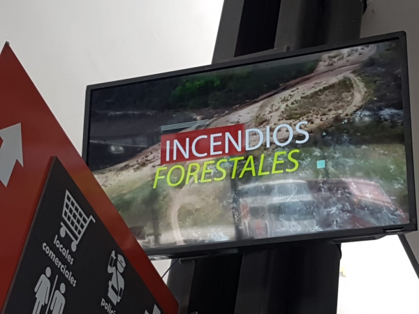 Extinguieron todos los focos de incendio en Jujuy