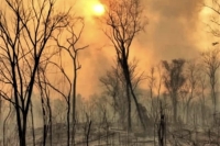 Los incendios forestales se agudizan por el cambio clim&aacute;tico