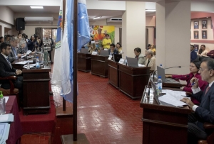 Begu, c&oacute;digo de faltas y pedidos de informes enm sesi&oacute;n del Concejo