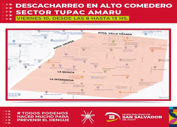 Ultimo descacharreo del a&ntilde;o