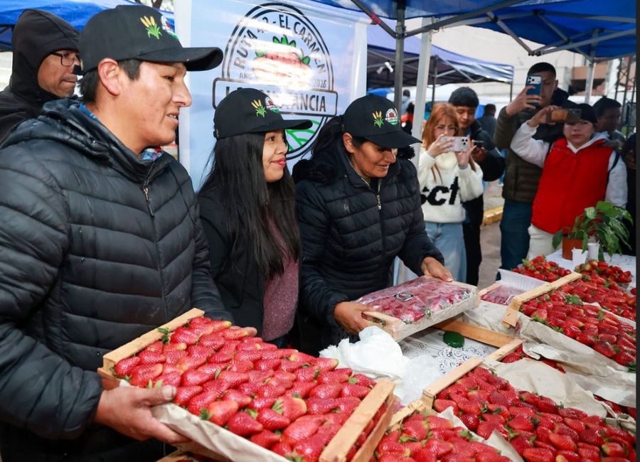 Sadir destacó el impacto de la producción de frutilla en la generación de empleo