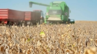 Seg&uacute;n la Bolsa de Cereales, las exportaciones agr&iacute;colas de la actual campa&ntilde;a superar&aacute;n los US$ 30.500 millones