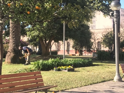 Mantenimiento en parques de la ciudad