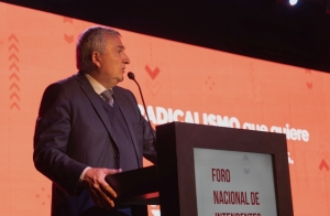 "Se lo quieren llevar puesto al Presidente para que Cristina se haga cargo del pa&iacute;s"