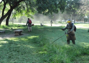 Tareas de desmalezado en todos los barrios de la ciudad