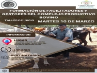Buscan desarrollar el sector bovino