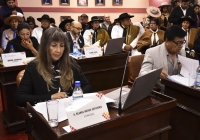 Concejales aprobaron exenci&oacute;n a Tasa por Espect&aacute;culos P&uacute;blicos