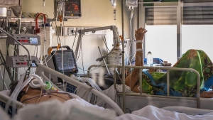 Argentina: confirmaron 267 muertes y 13.500 contagios en las &uacute;ltimas 24 horas