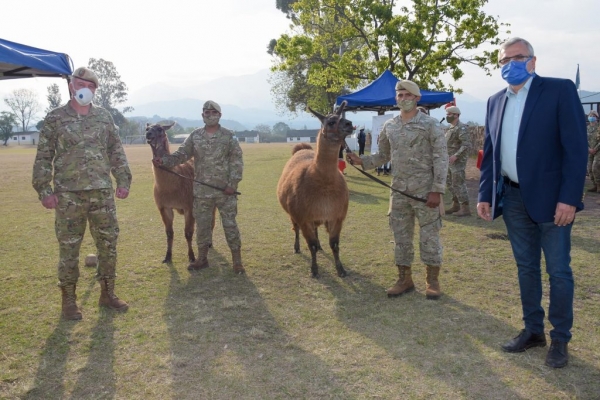 Entregaron 20 "llamas" al Ej&eacute;rcito Argentino