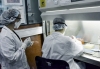 Coronavirus: Jujuy report&oacute; 8 muertes y 318 nuevos casos positivos
