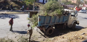 Trabajos en espacios verdes pr&oacute;ximos a finalizar
