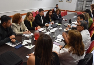 Diputados.Avanza el proyecto que regular&aacute; la actividad farmac&eacute;utica