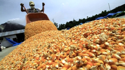 El gobierno destinar&aacute; $15.000 millones para subsidiar a productores de soja y ma&iacute;z