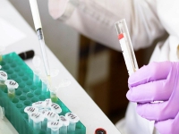 Argentina super&oacute; los 40.000 fallecidos por coronavirus