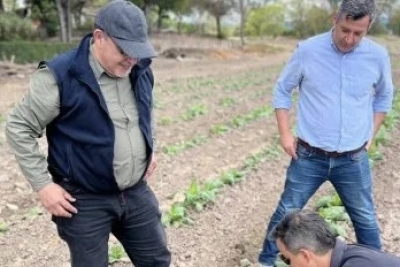 Agenda con Naci&oacute;n para fortalecer a productores del sector tabacalero