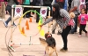Vecinos junto a sus mascotas disfrutaron del 4&deg; Perrot&oacute;n