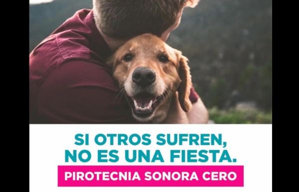 Fin de A&ntilde;o: est&aacute; prohibida la venta y uso de pirotecnia sonora