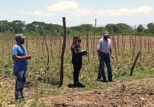 Relevan &aacute;reas productivas afectadas por tormenta