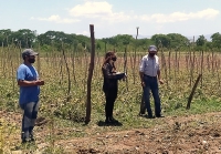 Relevan &aacute;reas productivas afectadas por tormenta