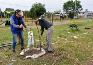 Se plantaron nuevos &aacute;rboles en Ledesma