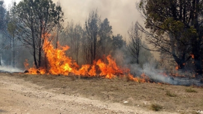 Brigadistas juje&ntilde;os trabajan para evitar que un incendio alcance a las yungas