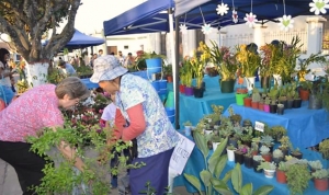 Fiesta Provincial de la Floricultura "Jujuy florece en el Carmen"