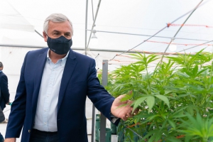 En Jujuy, el cannabis medicinal es una pol&iacute;tica de Estado