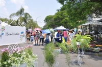 El &ldquo;Paseo de las Plantas&rdquo;, un regalo perfecto anticipando el D&iacute;a de la Madre