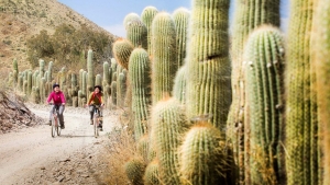 PreViaje 3: Jujuy entre los destinos m&aacute;s elegidos