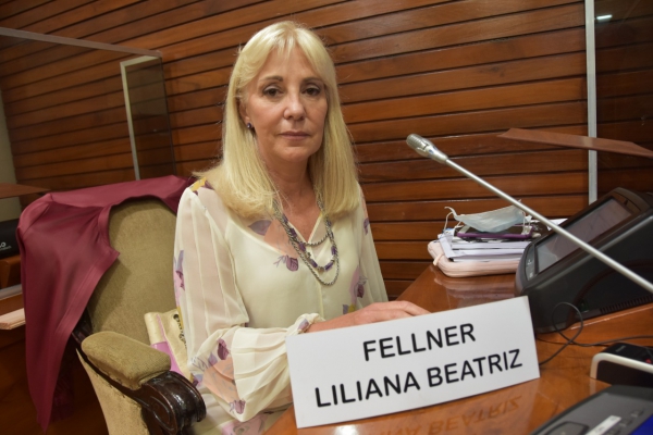 Fellner expresó su preocupación por la desocupación en Jujuy