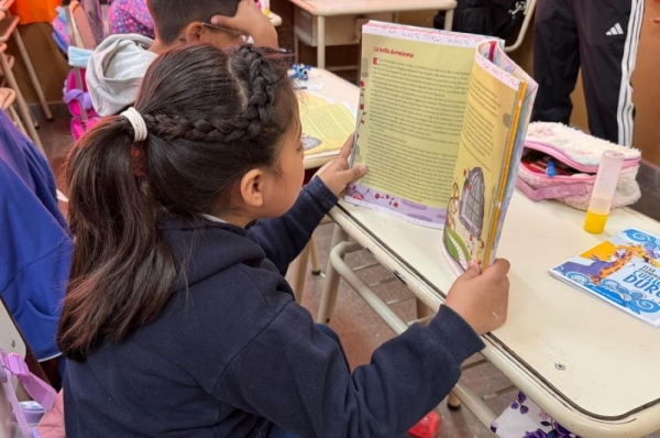 Plan Provincial de Alfabetizaci&oacute;n como pol&iacute;tica prioritaria en Jujuy