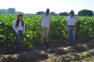Manejo y conservaci&oacute;n de suelos en la zona tabacalera