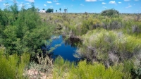 Contienen un gran derrame de petr&oacute;leo en una zona productiva de R&iacute;o Negro y eval&uacute;an da&ntilde;os ambientales