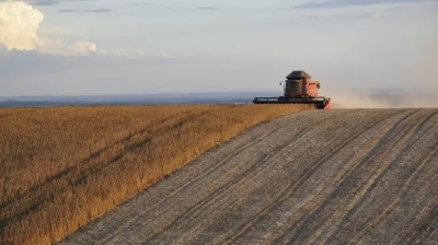 Argentina super&oacute; la sequ&iacute;a y volvi&oacute; a convertirse en el mayor productor global de harina de soja