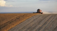 Argentina super&oacute; la sequ&iacute;a y volvi&oacute; a convertirse en el mayor productor global de harina de soja